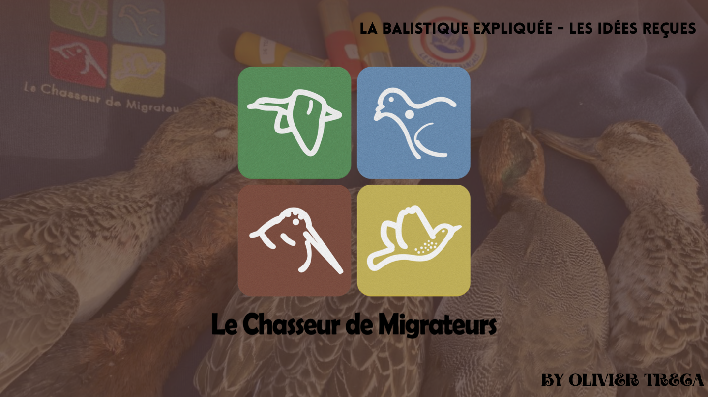 La balistique : les idées reçues