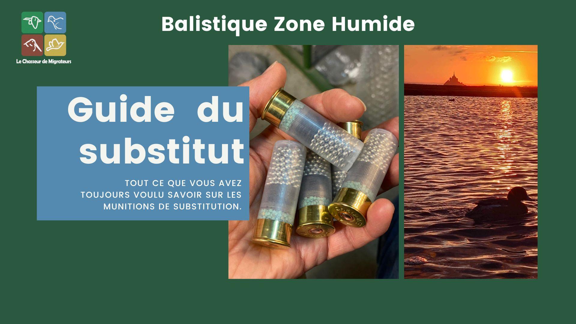 Guide munitions de substitution